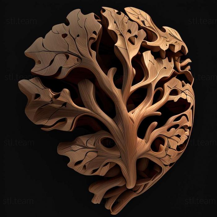 3D модель Oxyscelio acutiventris (STL)